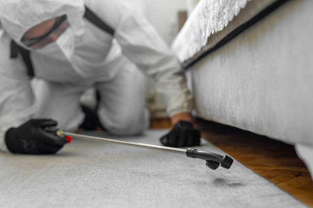 Professional Bed Bug Control technician working in St. Charles Parish County, LA